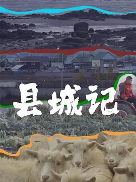 县城记(全集)